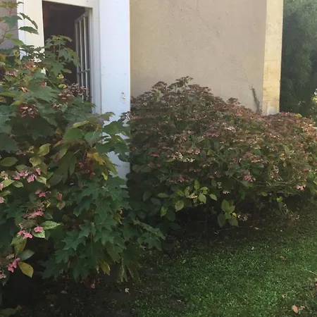 Bed & Breakfast Damechouette Pujols (Lot-et-Garonne)