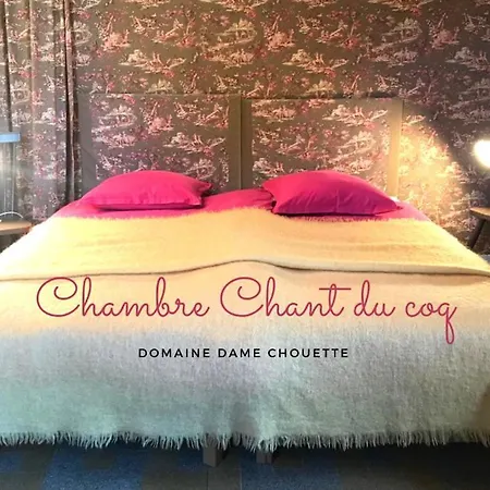 Damechouette