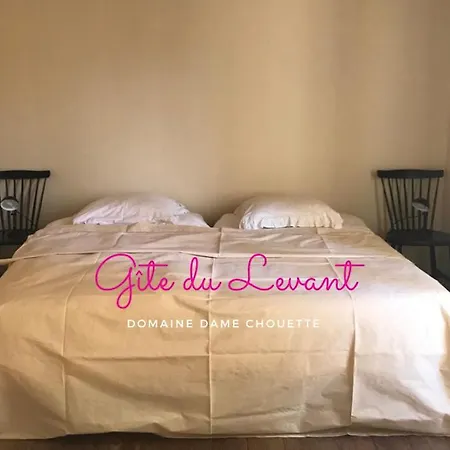 Bed & Breakfast Damechouette