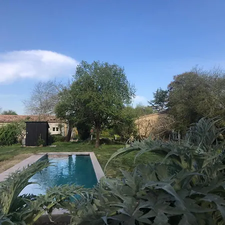 Damechouette * Pujols (Lot-et-Garonne)