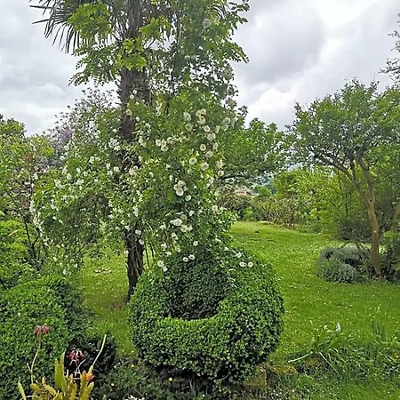 Panzió Damechouette