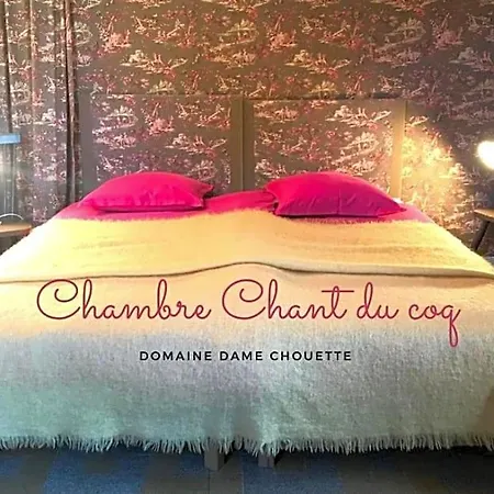 Damechouette