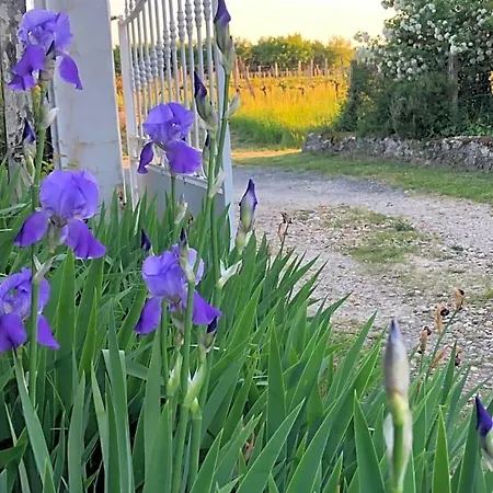 Damechouette Nocleg ze śniadaniem