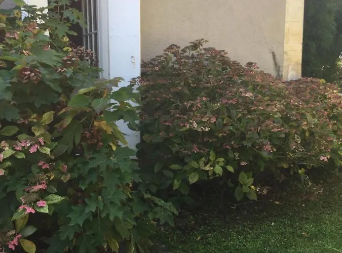 فندق مبيت وإفطار Damechouette Pujols (Lot-et-Garonne)