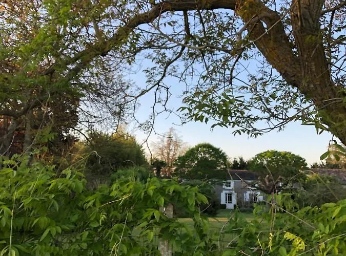 Damechouette 3* Pujols (Lot-et-Garonne)